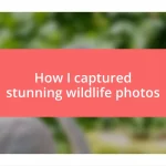 How I captured stunning wildlife photos