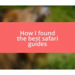 How I found the best safari guides