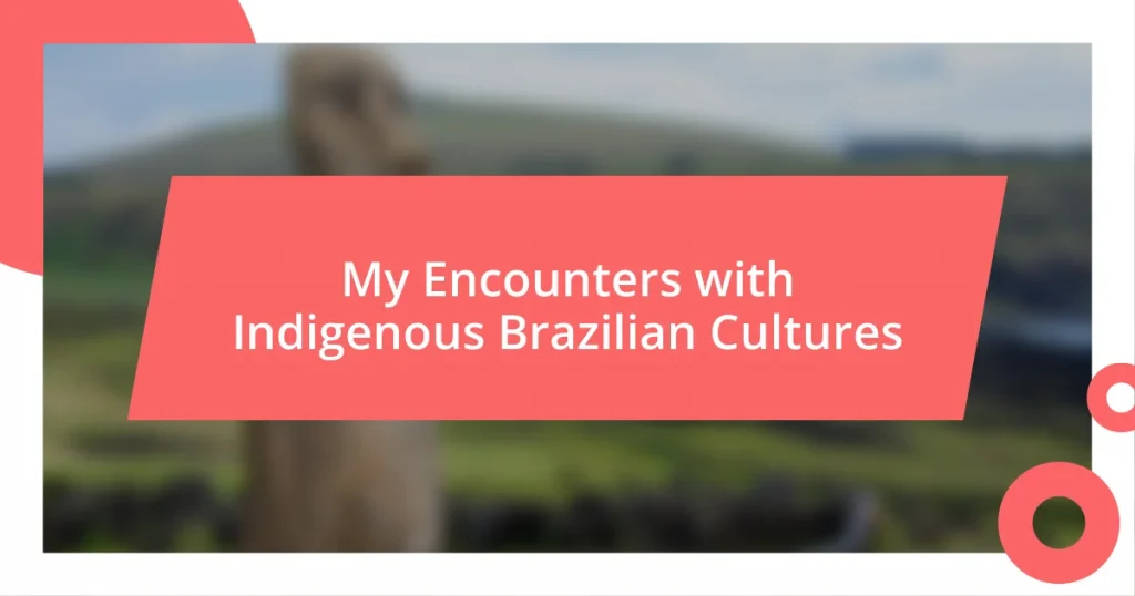 My Encounters with Indigenous Brazilian Cultures