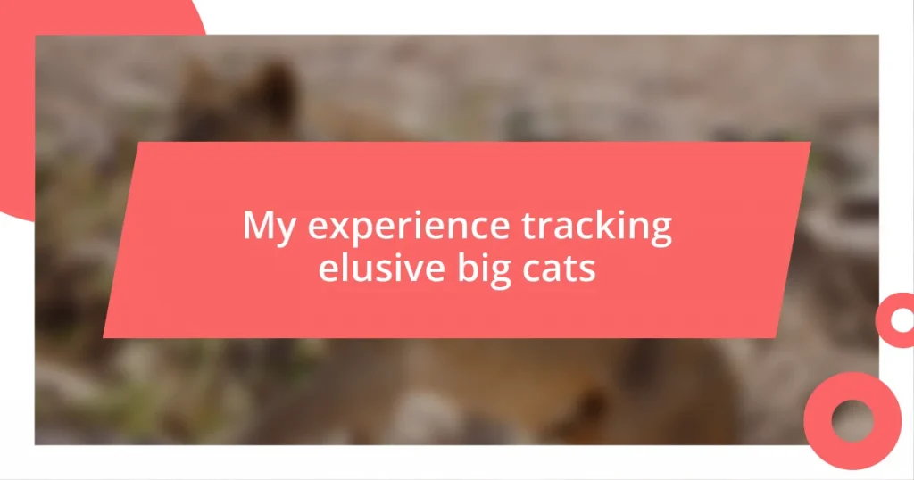 My experience tracking elusive big cats