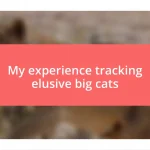 My experience tracking elusive big cats