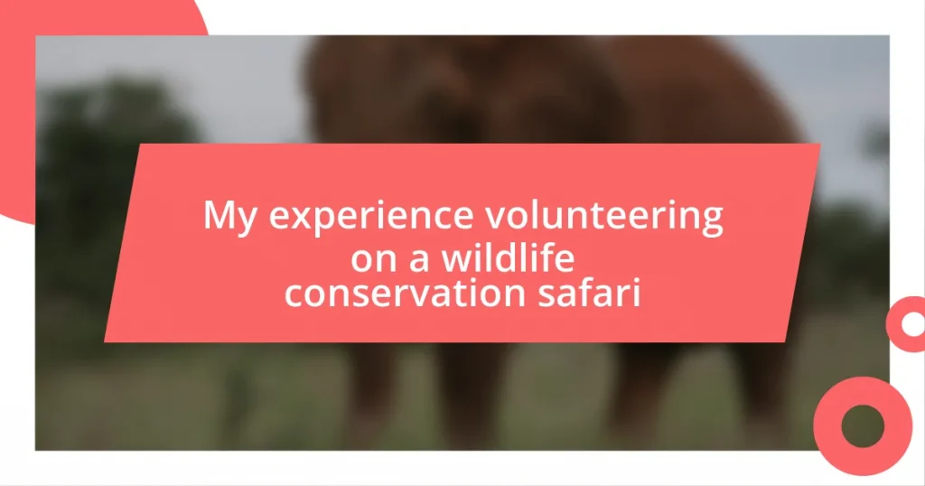 My experience volunteering on a wildlife conservation safari