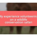 My experience volunteering on a wildlife conservation safari