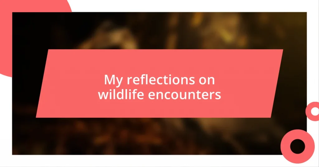 My reflections on wildlife encounters