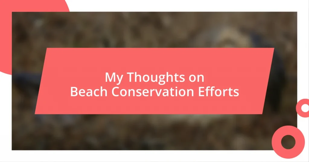 My Thoughts on Beach Conservation Efforts