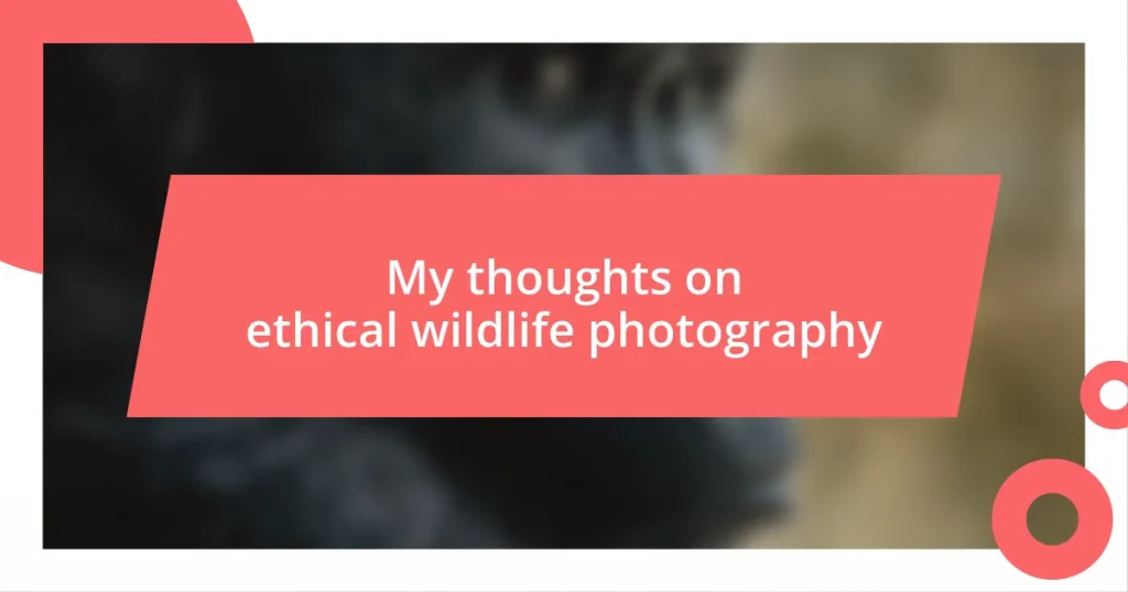 My thoughts on ethical wildlife photography