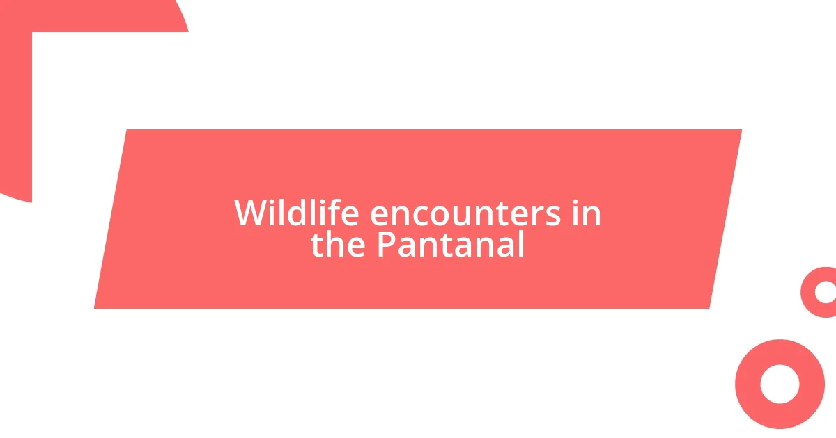 Wildlife encounters in the Pantanal