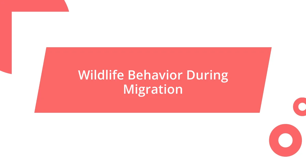 Wildlife Behavior During Migration