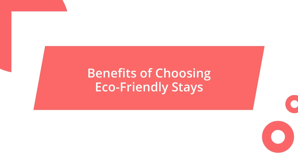 Benefits of Choosing Eco-Friendly Stays