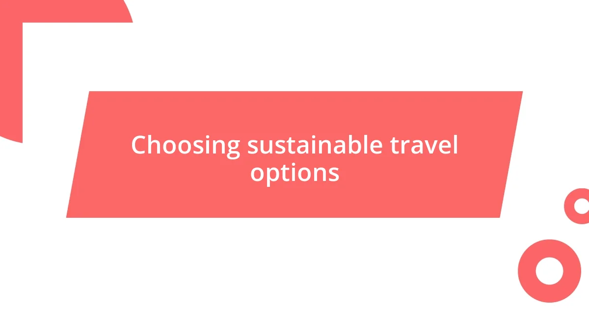 Choosing sustainable travel options